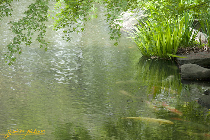 矢部正秋　旅と仕事と人生と